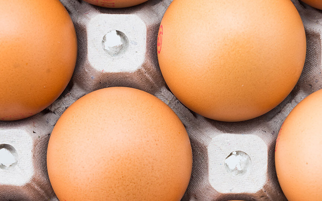 Шахтёрская птицефабрика